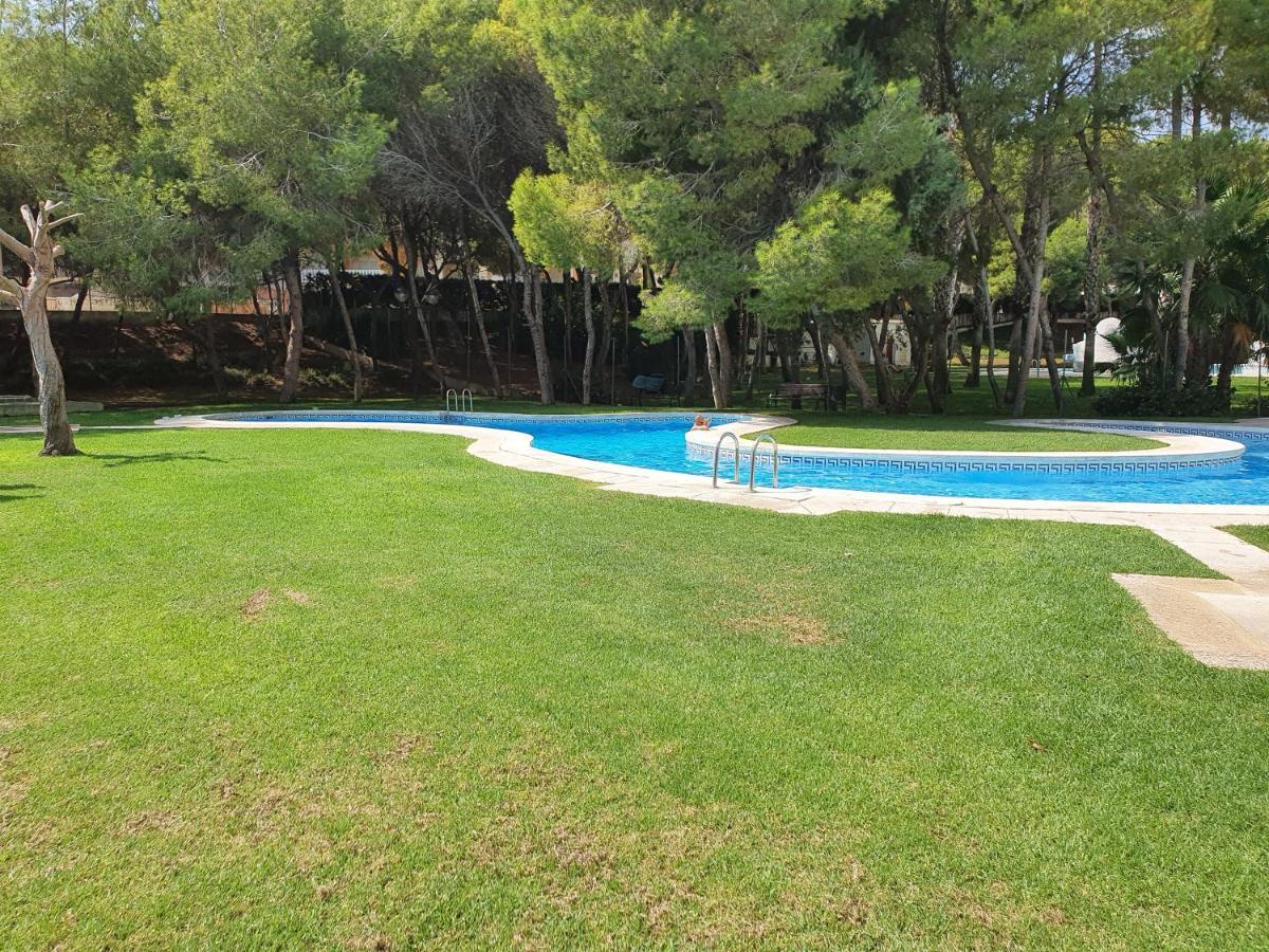 Apartment In Campoamor Overlooking The Swimming Pool Екстериор снимка